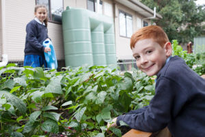 St Charles Catholic Primary School Ryde Gardening